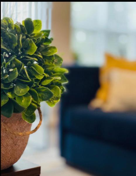 Evie'S Campus-Close 2 Bedroom Luxury Oklahoma City Luaran gambar